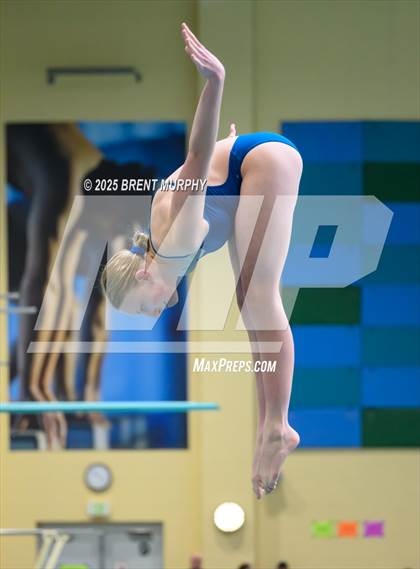 Thumbnail 2 in CHSAA 5A Dive Finals photogallery.