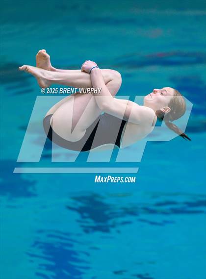 Thumbnail 1 in CHSAA 5A Dive Finals photogallery.