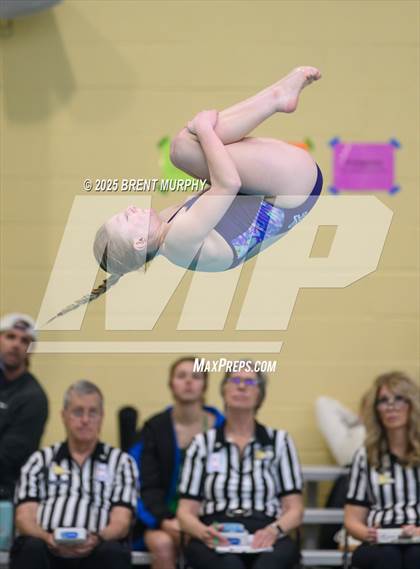 Thumbnail 3 in CHSAA 5A Dive Finals photogallery.