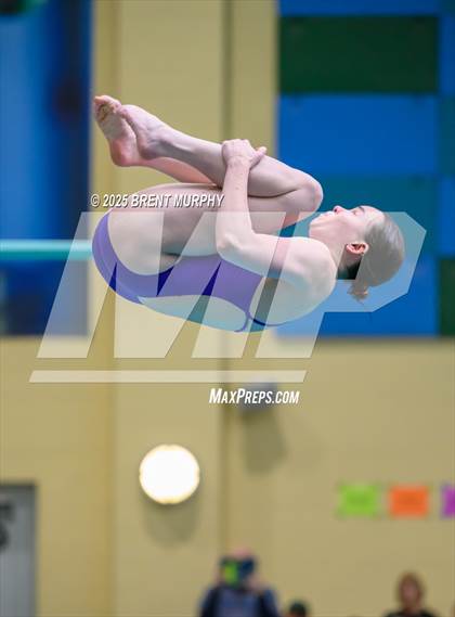 Thumbnail 2 in CHSAA 5A Dive Finals photogallery.