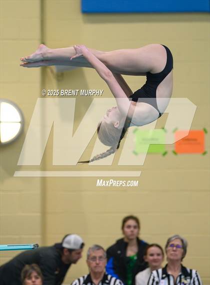 Thumbnail 1 in CHSAA 5A Dive Finals photogallery.