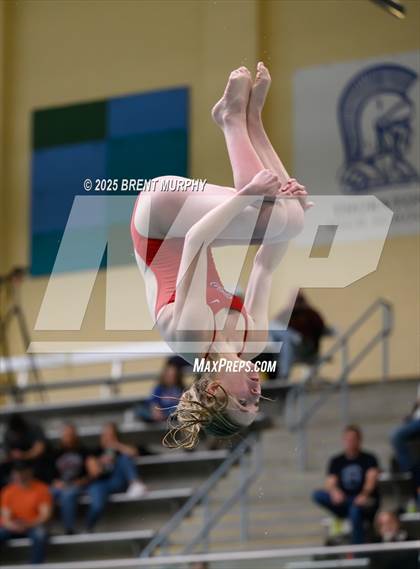 Thumbnail 1 in CHSAA 5A Dive Finals photogallery.
