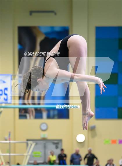 Thumbnail 1 in CHSAA 5A Dive Finals photogallery.