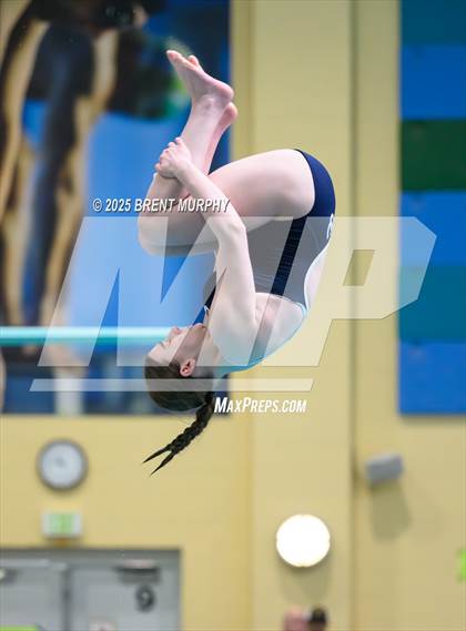 Thumbnail 2 in CHSAA 5A Dive Finals photogallery.