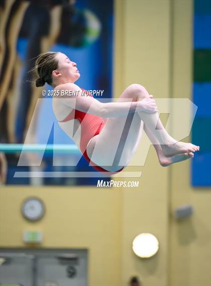 Thumbnail 2 in CHSAA 5A Dive Finals photogallery.