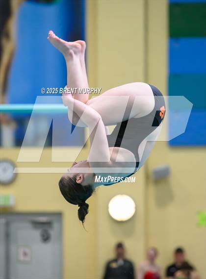 Thumbnail 3 in CHSAA 5A Dive Finals photogallery.
