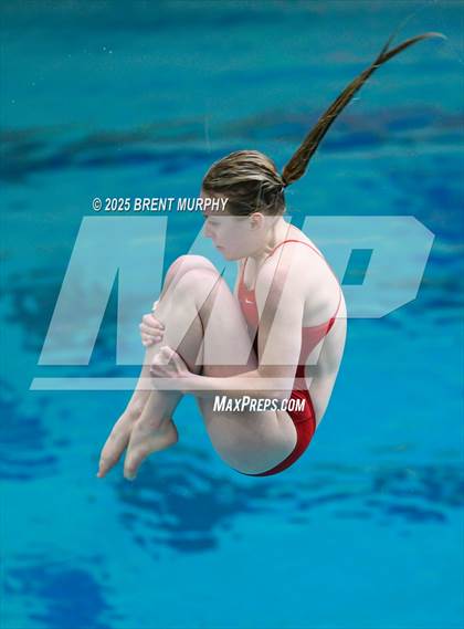 Thumbnail 2 in CHSAA 5A Dive Finals photogallery.