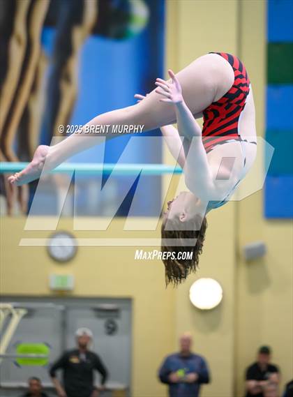 Thumbnail 2 in CHSAA 5A Dive Finals photogallery.