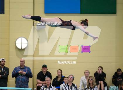 Thumbnail 2 in CHSAA 5A Dive Finals photogallery.