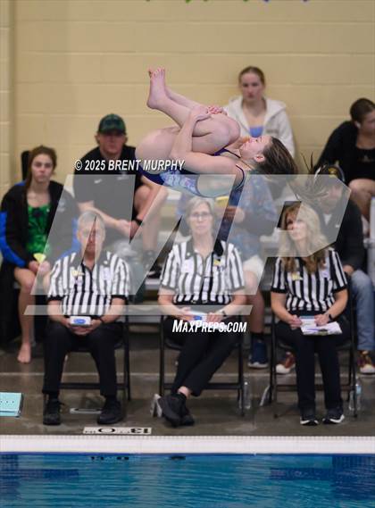 Thumbnail 1 in CHSAA 5A Dive Finals photogallery.
