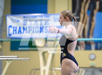 Thumbnail 2 in CHSAA 5A Dive Finals photogallery.