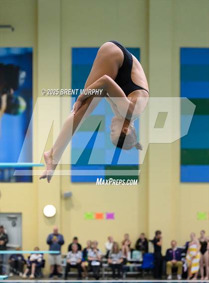 Thumbnail 2 in CHSAA 5A Dive Finals photogallery.