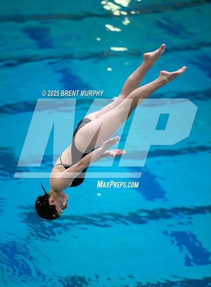 Thumbnail 3 in CHSAA 5A Dive Finals photogallery.