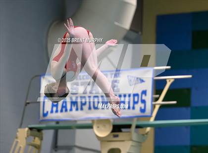 Thumbnail 2 in CHSAA 5A Dive Finals photogallery.