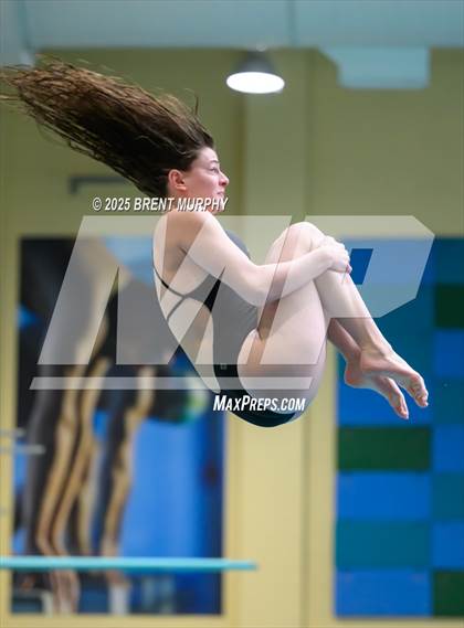 Thumbnail 3 in CHSAA 5A Dive Finals photogallery.