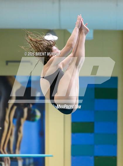 Thumbnail 3 in CHSAA 5A Dive Finals photogallery.