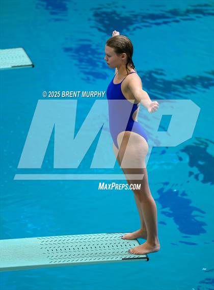 Thumbnail 1 in CHSAA 5A Dive Finals photogallery.