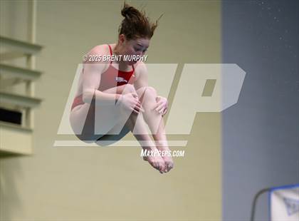 Thumbnail 3 in CHSAA 5A Dive Finals photogallery.