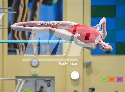 Thumbnail 3 in CHSAA 5A Dive Finals photogallery.