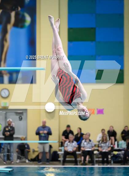 Thumbnail 1 in CHSAA 5A Dive Finals photogallery.