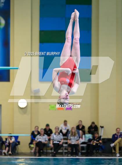 Thumbnail 1 in CHSAA 5A Dive Finals photogallery.