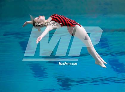 Thumbnail 1 in CHSAA 5A Dive Finals photogallery.