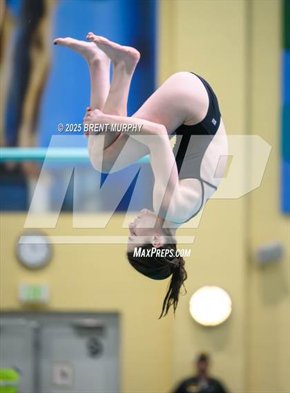 Thumbnail 1 in CHSAA 5A Dive Finals photogallery.