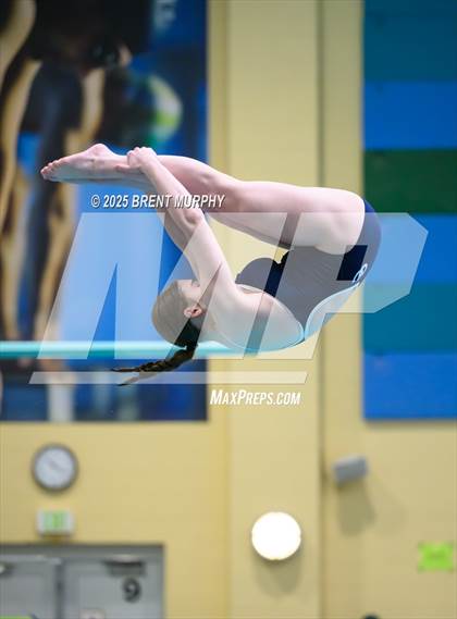 Thumbnail 3 in CHSAA 5A Dive Finals photogallery.