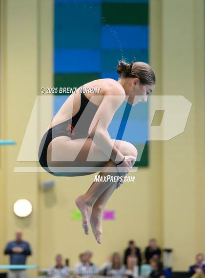 Thumbnail 1 in CHSAA 5A Dive Finals photogallery.