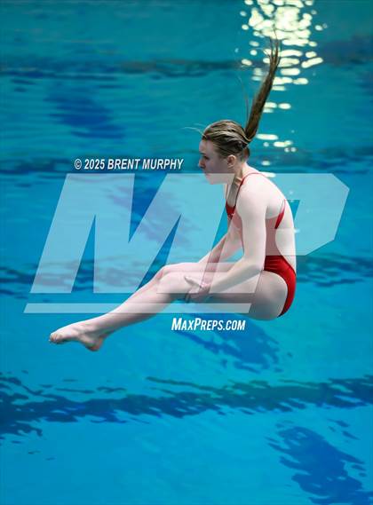Thumbnail 1 in CHSAA 5A Dive Finals photogallery.