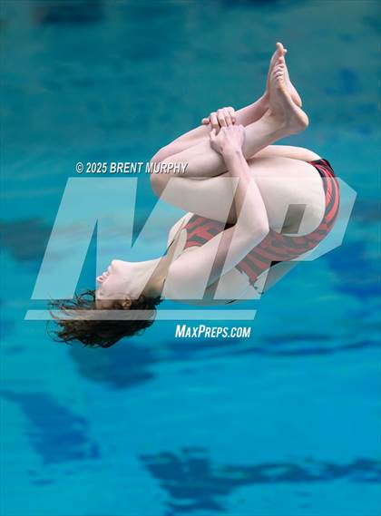 Thumbnail 2 in CHSAA 5A Dive Finals photogallery.
