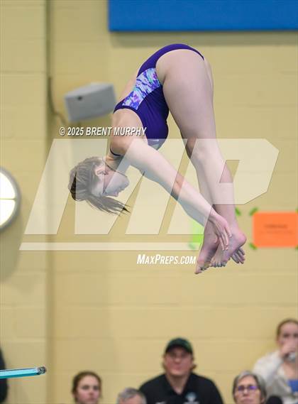 Thumbnail 1 in CHSAA 5A Dive Finals photogallery.