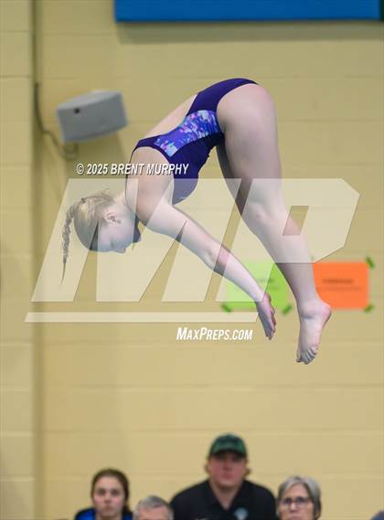 Thumbnail 2 in CHSAA 5A Dive Finals photogallery.