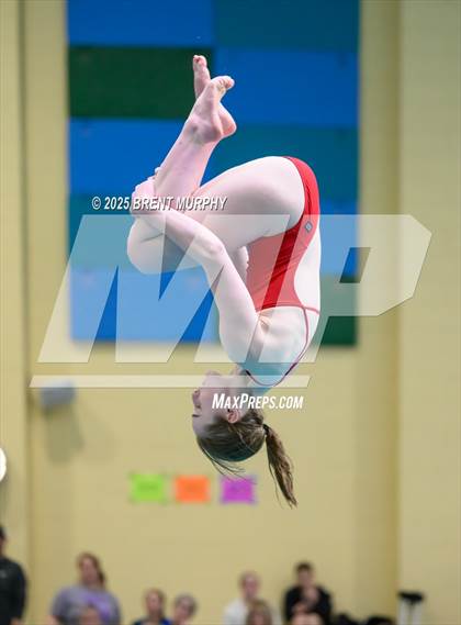 Thumbnail 1 in CHSAA 5A Dive Finals photogallery.