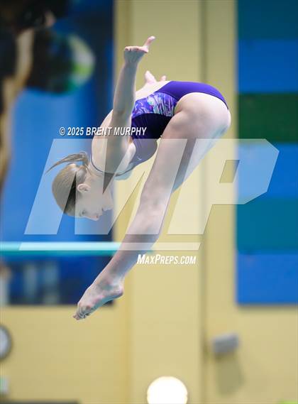 Thumbnail 3 in CHSAA 5A Dive Finals photogallery.