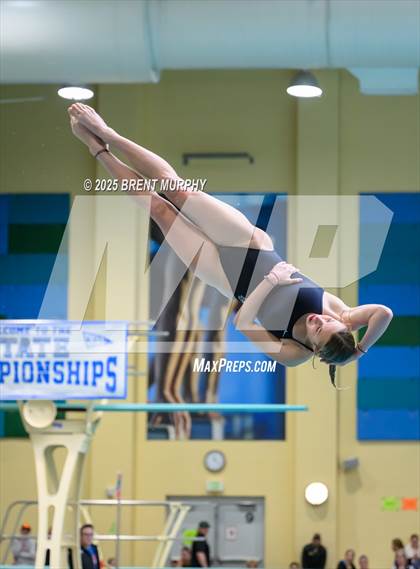 Thumbnail 3 in CHSAA 5A Dive Finals photogallery.