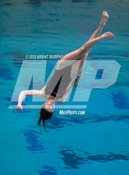 Thumbnail 3 in CHSAA 5A Dive Finals photogallery.