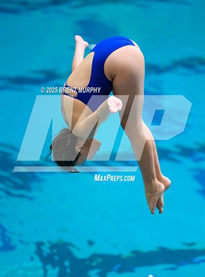 Thumbnail 1 in CHSAA 5A Dive Finals photogallery.