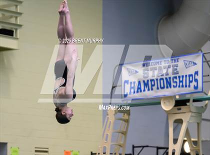 Thumbnail 1 in CHSAA 5A Dive Finals photogallery.