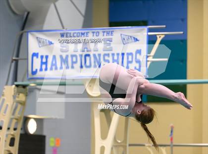 Thumbnail 1 in CHSAA 5A Dive Finals photogallery.