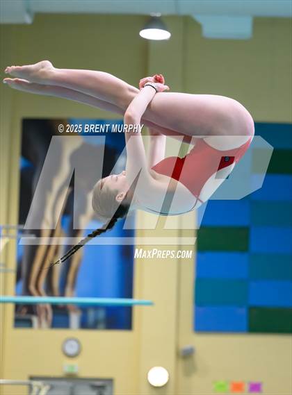 Thumbnail 2 in CHSAA 5A Dive Finals photogallery.