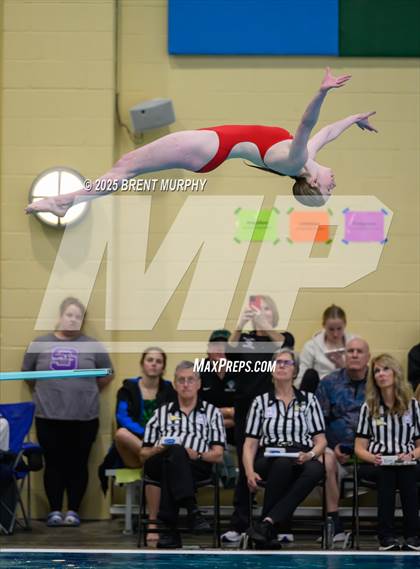 Thumbnail 1 in CHSAA 5A Dive Finals photogallery.