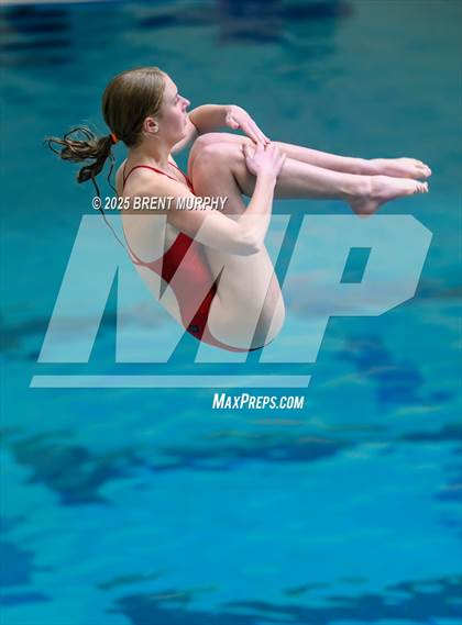 Thumbnail 3 in CHSAA 5A Dive Finals photogallery.