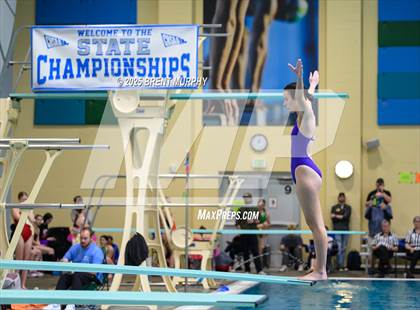 Thumbnail 1 in CHSAA 5A Dive Finals photogallery.