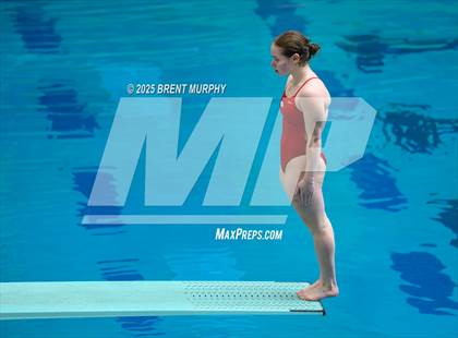 Thumbnail 3 in CHSAA 5A Dive Finals photogallery.