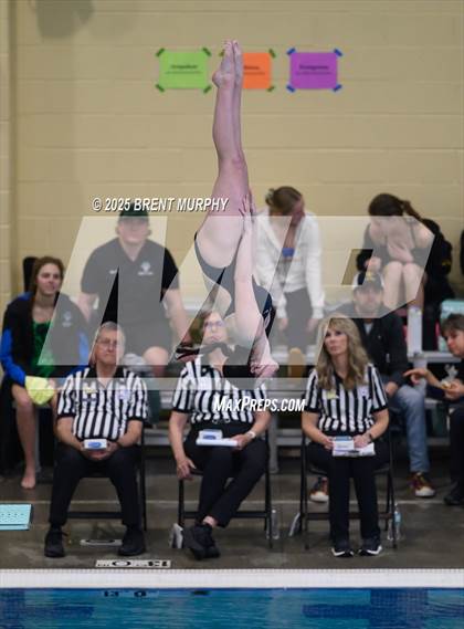Thumbnail 2 in CHSAA 5A Dive Finals photogallery.