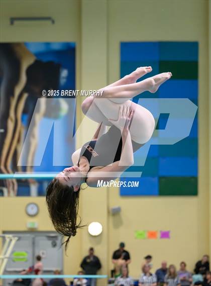 Thumbnail 1 in CHSAA 5A Dive Finals photogallery.