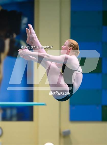 Thumbnail 1 in CHSAA 5A Dive Finals photogallery.