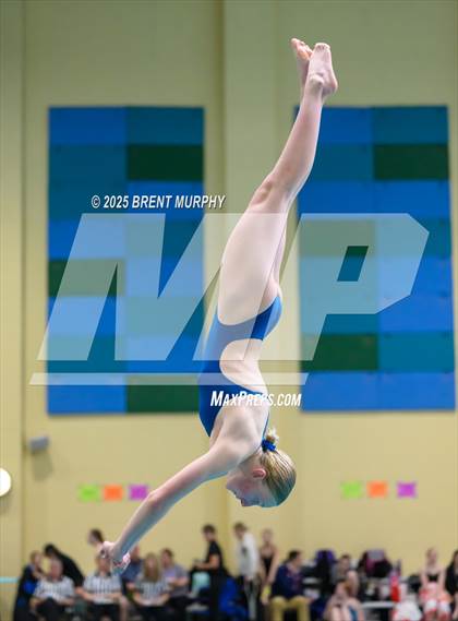 Thumbnail 1 in CHSAA 5A Dive Finals photogallery.