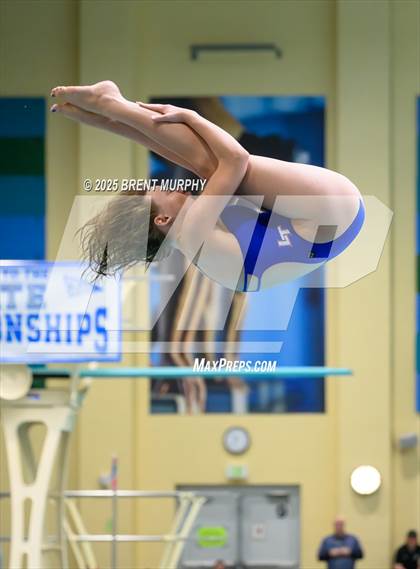 Thumbnail 1 in CHSAA 5A Dive Finals photogallery.